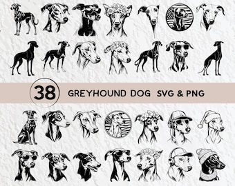 May include: A set of 38 black and white vector illustrations of greyhound dogs in various poses. The illustrations include dogs wearing sunglasses, hats, and flowers. The text "Greyhound Dog SVG & PNG" is at the top of the image.