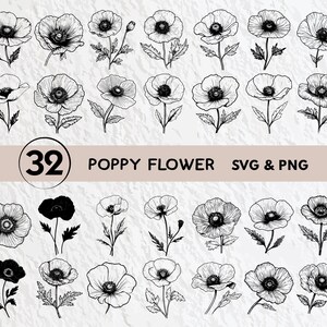 Poppy Flower SVG Bundle: Floral Clipart, Vector Icon (PNG, Cricut Files)