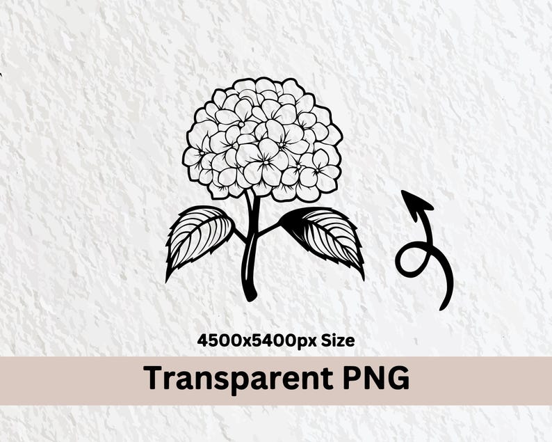 Hydrangea SVG Bundle: Floral Silhouette, Clipart, Vector (digital ...