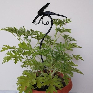 Eisen-Kolibri-Gartenstecker, Colibri-Vogel-Metallkunstskulptur, Metall-Kolibri-Pflanzenstecker für Topfdekor, Hand-Vergissmeinnicht-Gartendekor