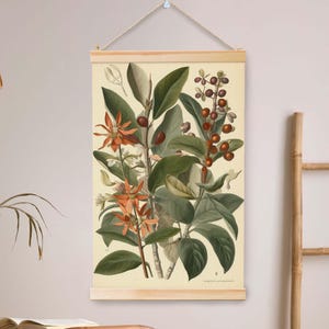 May include: A vintage botanical illustration featuring a detailed depiction of a plant with orange flowers and dark red berries. The illustration is printed on a cream-colored background with a subtle grid pattern.