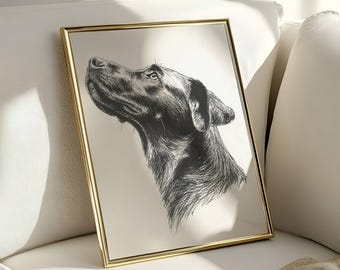 Vintage Lab Sketch, Dog Wall Art, Labrador Wall Art Print, Antique Dog Artwork, Black Lab Portrait, Vintage Pet Artwork, Dog Lover Gift