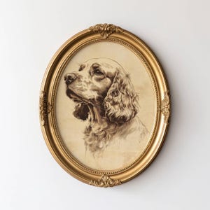 Puede incluir: Un dibujo en blanco y negro enmarcado de un perro con orejas caídas en un marco ovalado dorado.