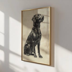 Vintage Lab Sketch, Dog Wall Art, Labrador Wall Art Print, Antique Dog Artwork, Black Lab Portrait, Vintage Pet Artwork, Dog Lover Gift image 5