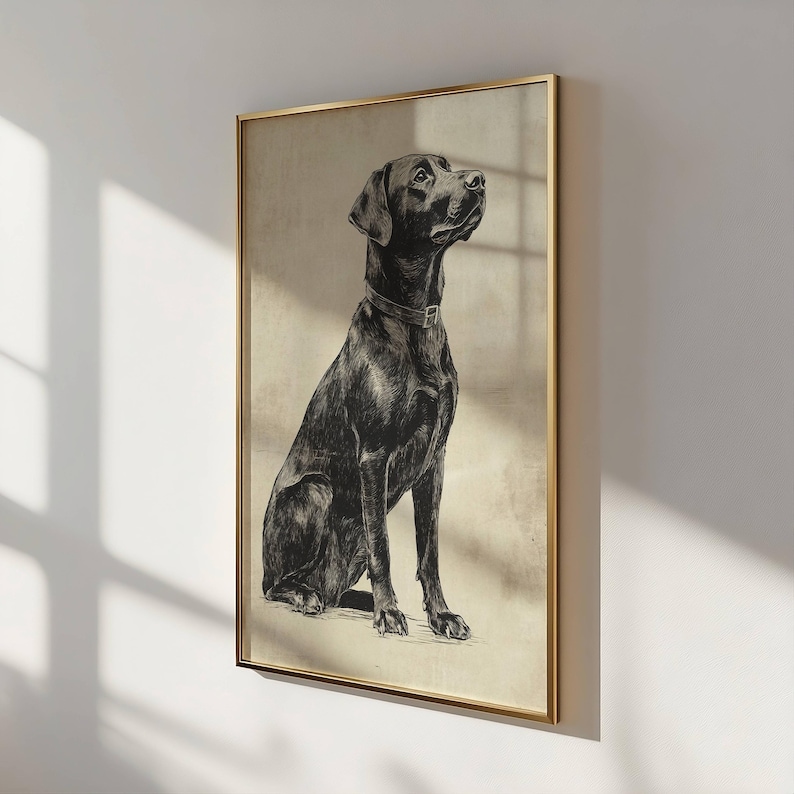 Vintage Lab Sketch, Dog Wall Art, Labrador Wall Art Print, Antique Dog Artwork, Black Lab Portrait, Vintage Pet Artwork, Dog Lover Gift image 5