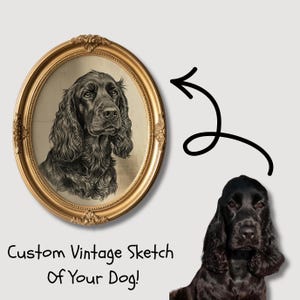 May include: A custom vintage sketch of a dog in a gold oval frame. The sketch is a detailed black and white drawing of a Cocker Spaniel. The image includes a photo of a black Cocker Spaniel and the text "Custom Vintage Sketch Of Your Dog!"