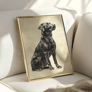 Vintage Lab Sketch, Dog Wall Art, Labrador Wall Art Print, Antique Dog Artwork, Black Lab Portrait, Vintage Pet Artwork, Dog Lover Gift image 1