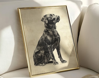 Vintage Lab Sketch, Dog Wall Art, Labrador Wall Art Print, Antique Dog Artwork, Black Lab Portrait, Vintage Pet Artwork, Dog Lover Gift