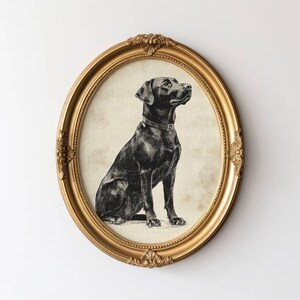 Vintage Lab Sketch, Dog Wall Art, Labrador Wall Art Print, Antique Dog Artwork, Black Lab Portrait, Vintage Pet Artwork, Dog Lover Gift image 2