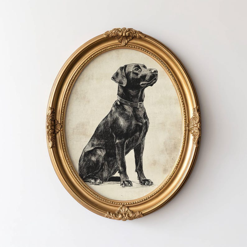 Vintage Lab Sketch, Dog Wall Art, Labrador Wall Art Print, Antique Dog Artwork, Black Lab Portrait, Vintage Pet Artwork, Dog Lover Gift image 2