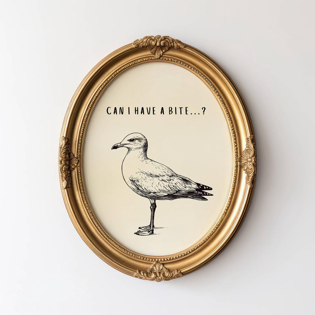 Vintage Seagull Print, Black and White, Beachy Wall Art, Beach Photography, Funny Wall Art, Vintage Print, Coastal Home Decor, Beachy Decor - 11″ x 14″