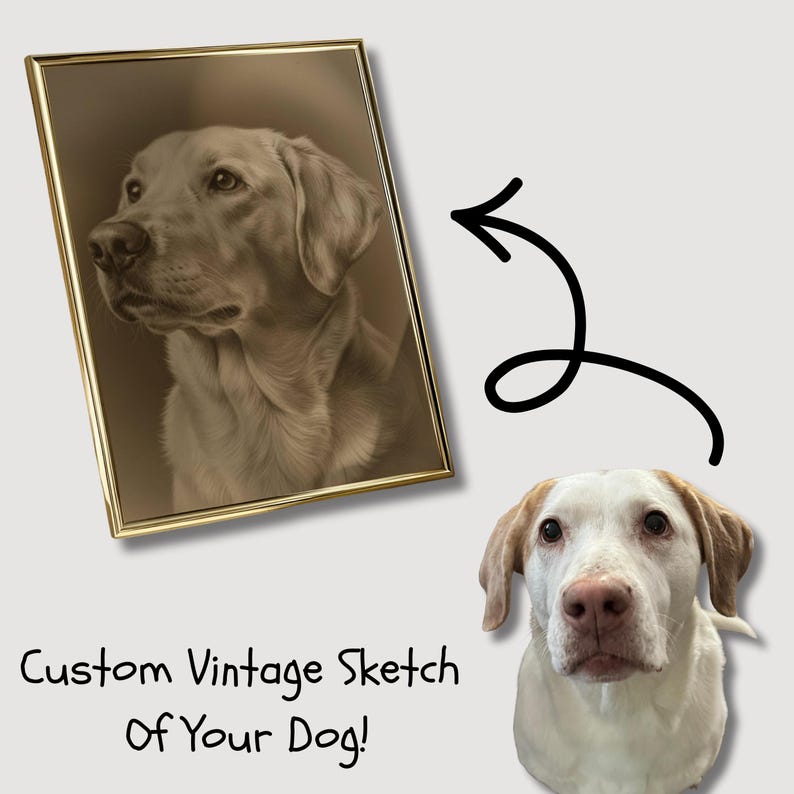 May include: A sepia-toned framed sketch of a dog's head, with a gold frame. The image is next to a photo of a dog. Text reads "Custom Vintage Sketch Of Your Dog!"