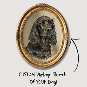 May include: A vintage-style sketch of a dog in an oval gold frame. The dog is black with long, wavy fur. The frame has ornate detailing. Text at the bottom reads "CUSTOM Vintage Sketch of YOUR Dog!"