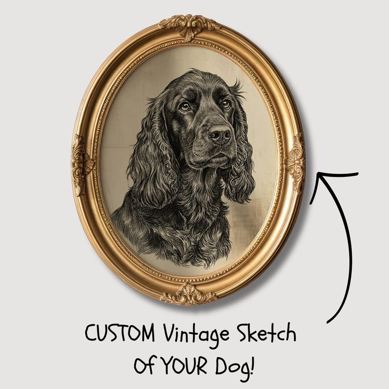 May include: A vintage-style sketch of a dog in an oval gold frame. The dog is black with long, wavy fur. The frame has ornate detailing. Text at the bottom reads "CUSTOM Vintage Sketch of YOUR Dog!"