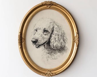 Vintage Poodle Drawing Wall Art, Dog Illustration Nursery Decor Wall Art, Neutral Color Poster, Poodle Sketch, Gift For Dog Lovers, Poodle