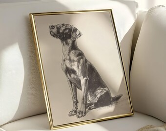 May include: A black and white illustration of a dog sitting in a gold frame. The dog is looking up and has a long snout.