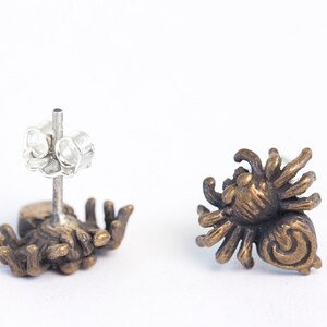 May include: A pair of bronze spider earrings with a detailed design. The earrings have a silver post and butterfly back.