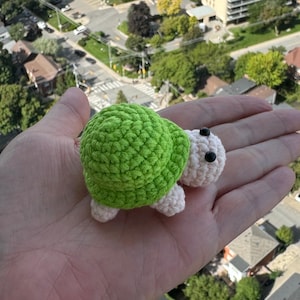 Personalizable, regalo hecho a mano, tortuga, juguete amigurumi suave, regalo para niños, regalo para amigos, decoración de guardería, amuleto para bolso, regalo para pareja