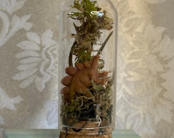 Mini terrario de estegosaurio con campana de cristal, diorama de dinosaurio, decoración