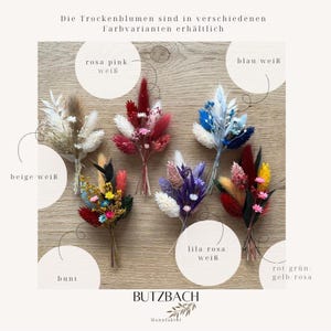 May include: An assortment of dried flower bouquets in various colors, including pink, white, blue, and purple. The bouquets are labeled with color names in German. The text "Die Trockenblumen sind in verschiedenen Farbvarianten erh&auml;ltlich" is also visible.