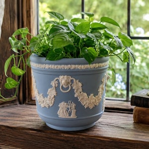 May include: A light blue ceramic planter featuring white relief ornamentation, including lion head motifs with rings and floral swags. A vibrant green pothos plant with heart-shaped leaves grows from the top of the round, tapered vessel.