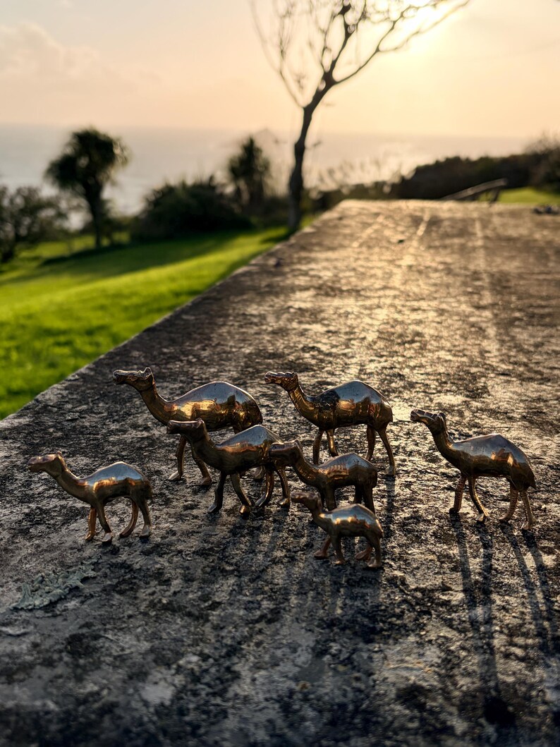 Camel Collection Vintage Solid Brass Camel Figurines | Set of 7 Miniature Brass Camels ...