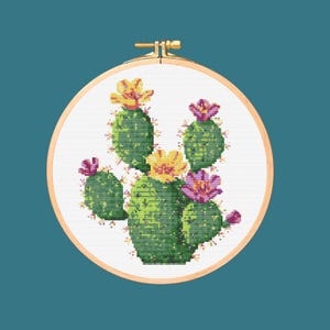May include: A cross-stitch embroidery hoop with a colorful cactus design. The cactus is green with yellow and pink flowers.