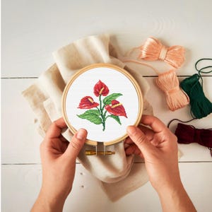 Anthurium Cross Stitch Pattern | Red Flamingo Flower PDF | Tropical Botanical Embroidery Art