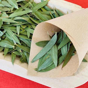 Confettis d’eucalyptus inspirés de la feuille d'olivier pour un rendu parfait