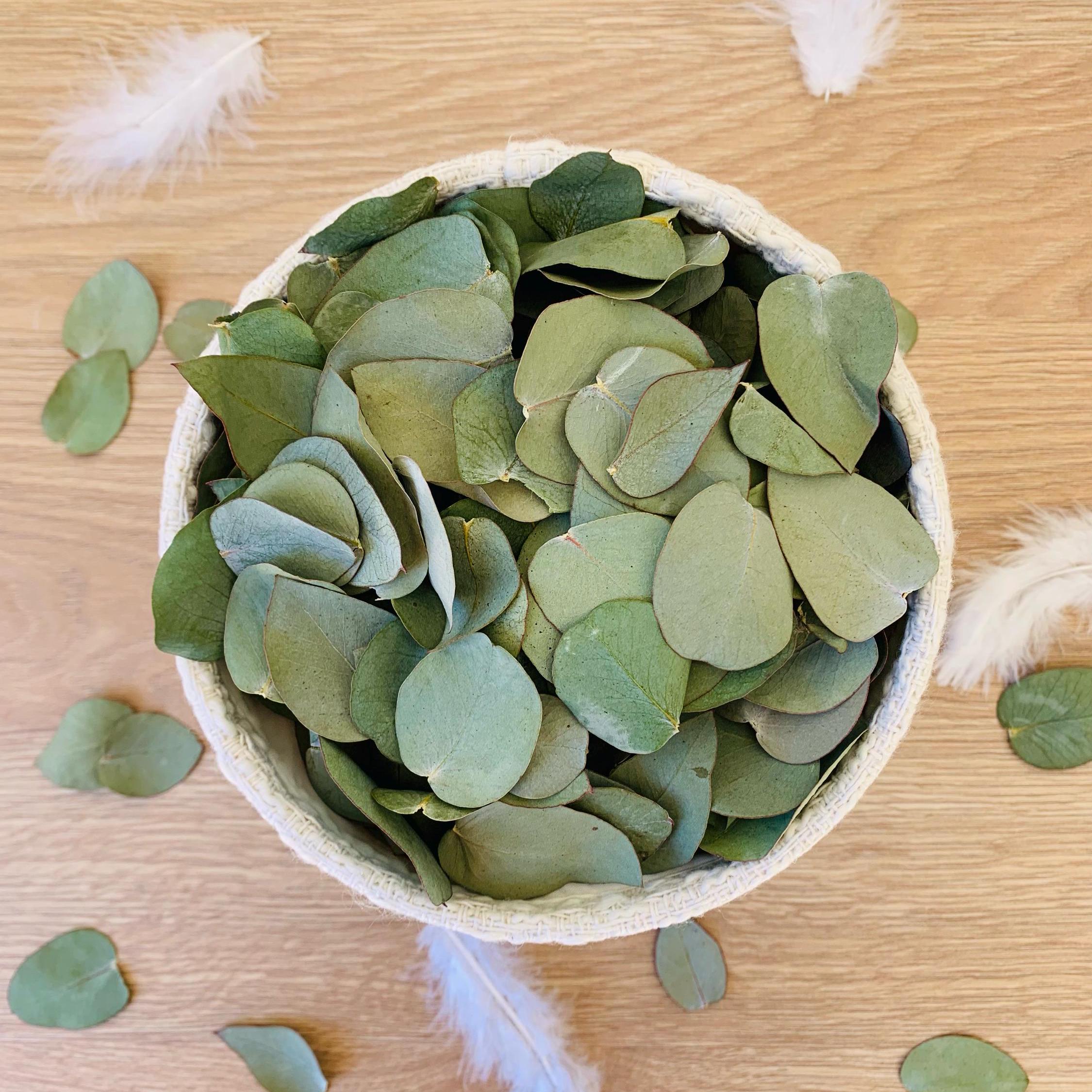 Confettis végétaux d’eucalyptus – 10 à 150 cornets naturels