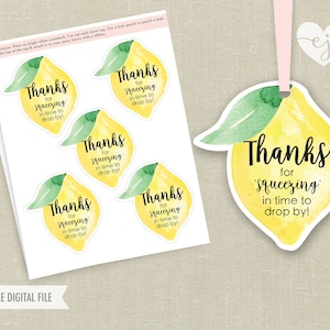 Etiquetas para lembrancinhas imprimíveis, etiquetas para lembrancinhas de limonada, lembrancinhas de aniversário de limonada, etiquetas para lembrancinhas de limão, etiquetas para lembrancinhas de agradecimento de limão, primeiro aniversário de limonada