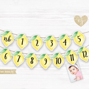 Printable Banner, Lemon Bunting, Lemon Birthday Banner, Happy Birthday Banner, Lemonade, Lemonade Birthday Decor, Lemonade photo banner
