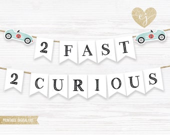 Printable Banner, 2 Fast 2 Curious Bunting, race car Birthday Banner, two fast two curious, race car Birthday Decor, race car banner, A2