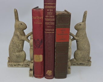 May include: Two beige rabbit bookends flanking three vintage hardcover books. The books are titled Due Nort Ballou, Histopathology of the Teeth and Their Surrounding Structures by Kronfeld, and Alice in Wonderland by Carroll, with gold lettering.