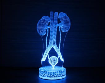 May include: A blue LED lamp shaped like a human urinary system, including kidneys, ureters, and bladder. The lamp has a detailed, wireframe design and sits on a round base with a cracked pattern. The lamp emits a bright blue glow.