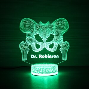 Può includere: Una luce notturna verde stampata in 3D a forma di bacino umano con il testo "Dr. Robinson" sotto. La luce è su una base bianca.