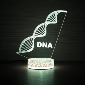 May include: A white 3D printed night light shaped like a DNA strand with the word "DNA" printed on the base. The light is on and glowing.