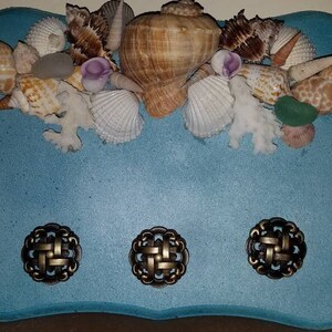May include: A decorative wall hanging with a light blue background, adorned with various seashells and three bronze-colored knobs. The seashells are of different sizes, shapes, and colors, creating a coastal theme.