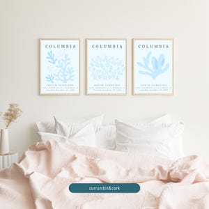 Matisse Inspired Columbia SC Digital Prints