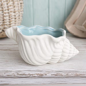 May include: A white ceramic seashell-shaped planter with a light blue interior. The planter has a textured, ridged exterior and a wavy rim. The design is reminiscent of coastal decor.