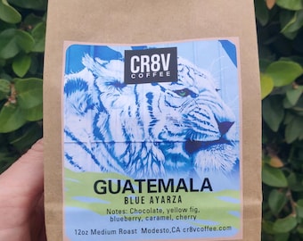 Granos de café guatemalteco recién tostados