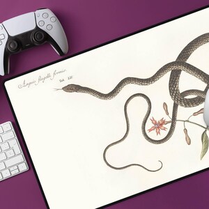 Pode incluir: Um tapete de secretária retangular com uma ilustração de estilo vintage de uma cobra castanha escura enrolada à volta de uma pequena planta com flores. O fundo creme inclui o texto em cursivo Anguis flagelli formis e a etiqueta Tab. LIV.