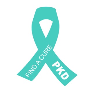 May include: A teal blue ribbon with the text "FIND A CURE" and "PKD" in white.