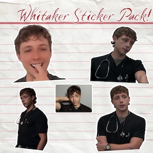 Dr. Dennis Whitaker Sticker Pack | The Pitt Gift, TV Show Merch, Gerran Howell Stickers image 1