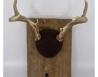 Placa de madera rústica con cuernos de venado cola blanca de 4 puntas, VTG, para caza en Luisiana