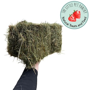 Mini Bales of Hay For Rabbits and Guinea Pigs made using Fresh Farm Nutritious Meadow Hay