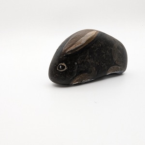 Rabbit rock