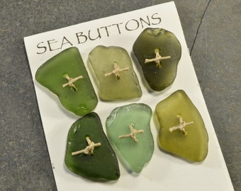 Set of six shades of  olive green drilled authentic sea glass buttons from the coast of Maine