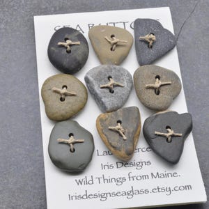 May include: Nine sea stone buttons in various shades of gray, brown, and tan, each with a natural twine cross-stitch. The buttons are arranged on a white card with text that reads "SEA BUTTONS" and "Iris Designs Wild Things from Maine."