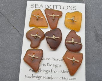 Set of eight brown naturally ocean tumbled Maine sea/ beach  glass buttons ecochic  embellishment for knitters